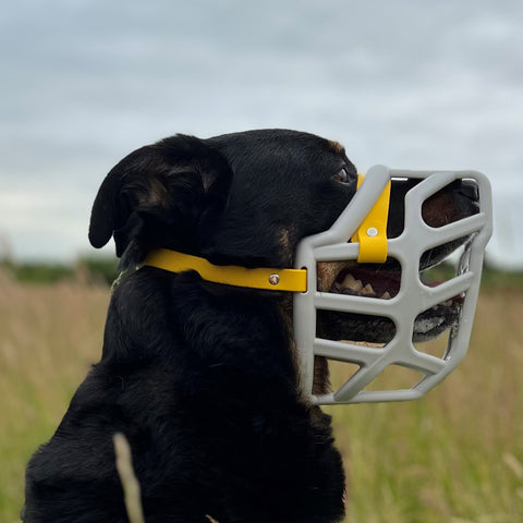 Size Taz - Made to order muzzle with colour customisation