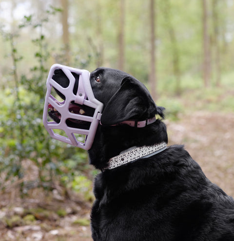 Size Taz - Made to order muzzle with colour customisation