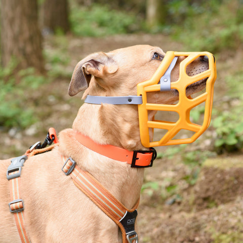 Size Taz - Made to order muzzle with colour customisation