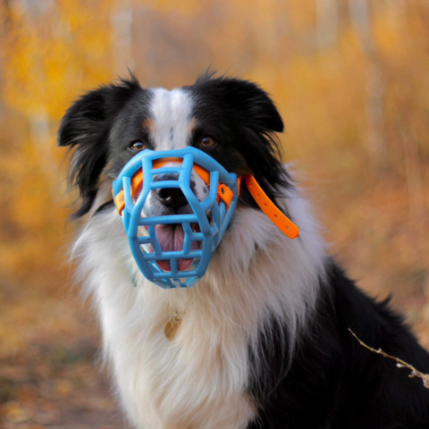 Size Tolly - Made to order muzzle with colour customisation