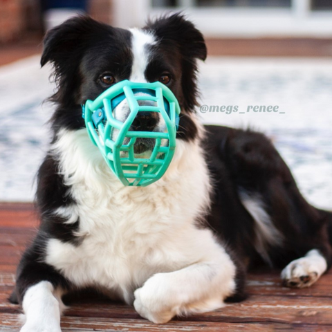 Size Tolly - Made to order muzzle with colour customisation