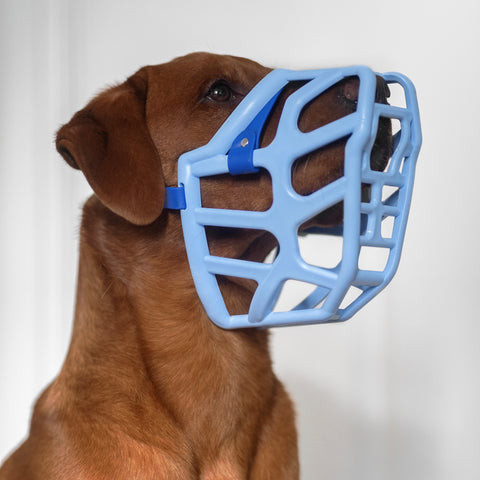 Size Taz - Made to order muzzle with colour customisation