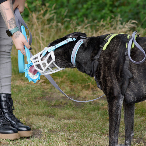 Person holding a dog lick stick next to a black dog outdoors wearing a muzzle