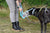 Person holding a dog lick stick next to a black dog outdoors wearing a muzzle