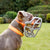 Size Mitzy - Made to order muzzle with colour customisation