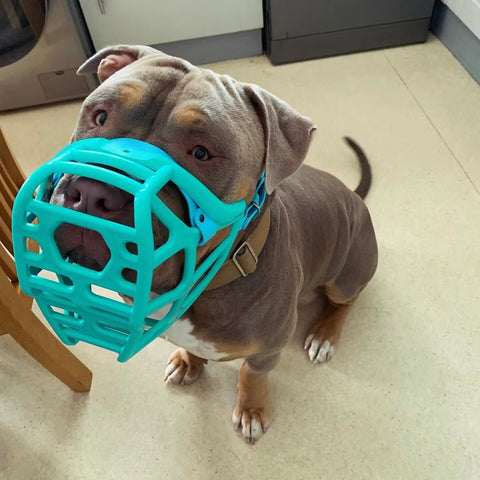 Size Mitzy - Made to order muzzle with colour customisation