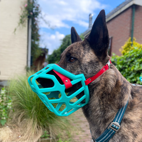Size Taz - Made to order muzzle with colour customisation