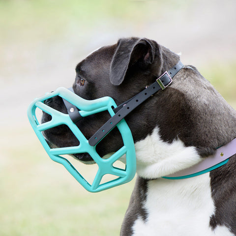 Size Mitzy Dog Muzzle - Made to order muzzle with colour customisation