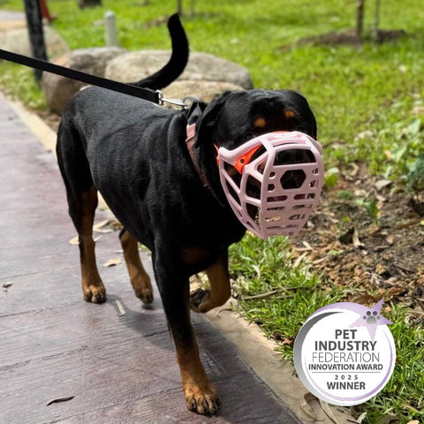 Size Mitzy Dog Muzzle - Made to order muzzle with colour customisation