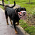 The Muzzle Movement Size Mitzy for Trade