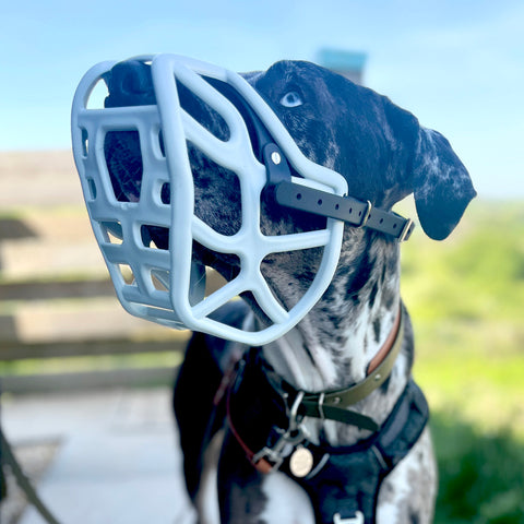 Size Harry 2.0 Pre Order - Made to order muzzle with colour customisation *NEW* updated version