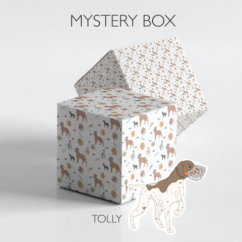 Mystery Dog Muzzle - Shipped in 1 working day