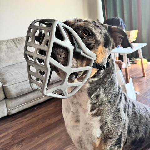 The Muzzle Movement Size Mitzy Dog Muzzle for Trade
